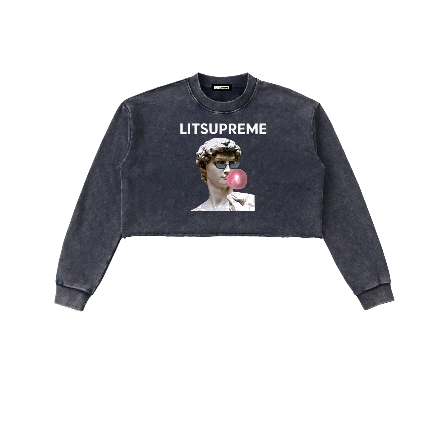 Snow Washed Raw Edge Cropped Sweatshirt