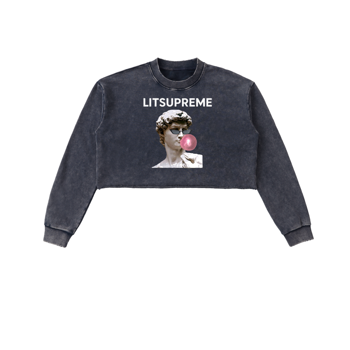 Snow Washed Raw Edge Cropped Sweatshirt