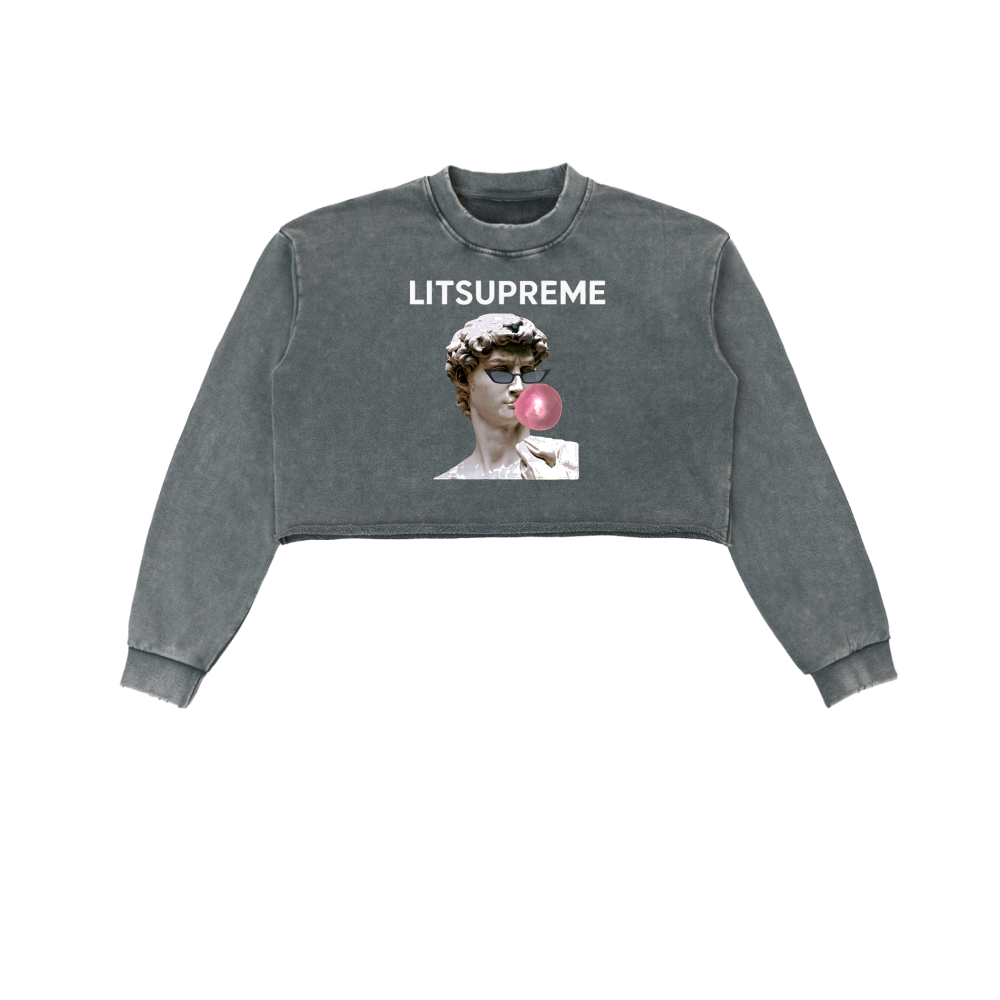 Snow Washed Raw Edge Cropped Sweatshirt