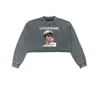 Snow Washed Raw Edge Cropped Sweatshirt