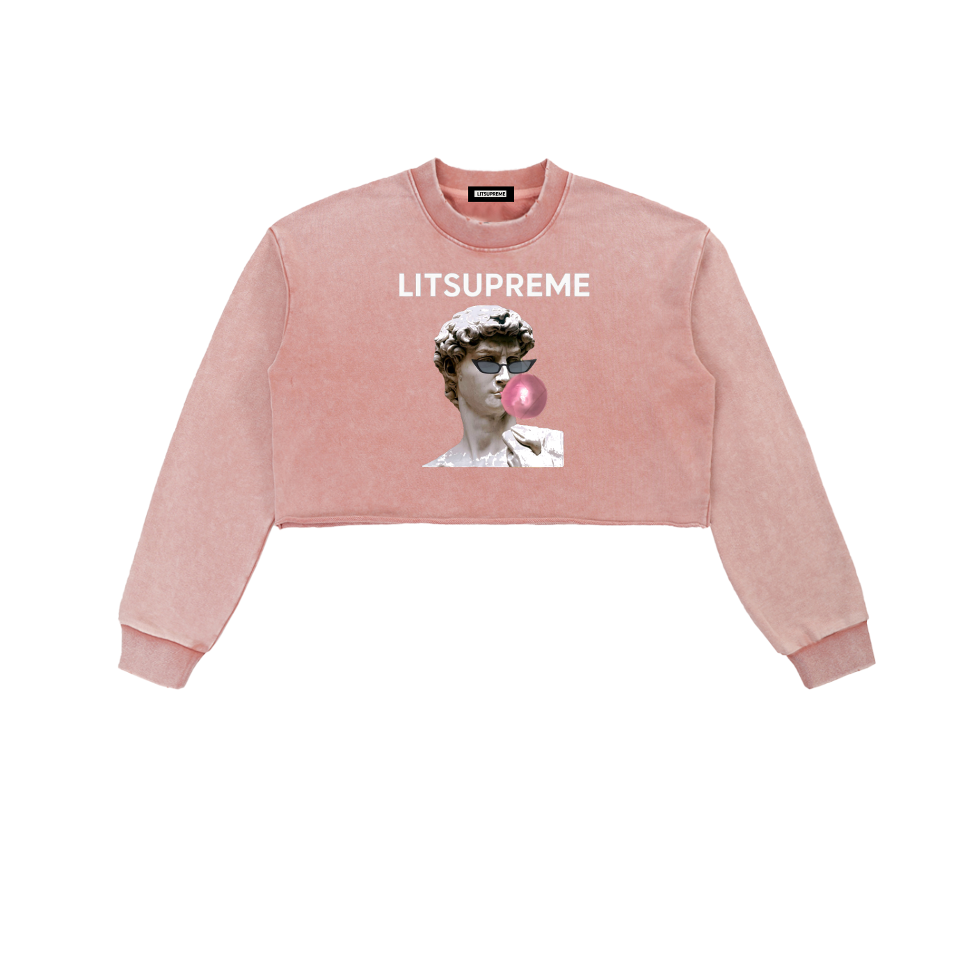 Snow Washed Raw Edge Cropped Sweatshirt