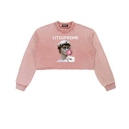 Snow Washed Raw Edge Cropped Sweatshirt