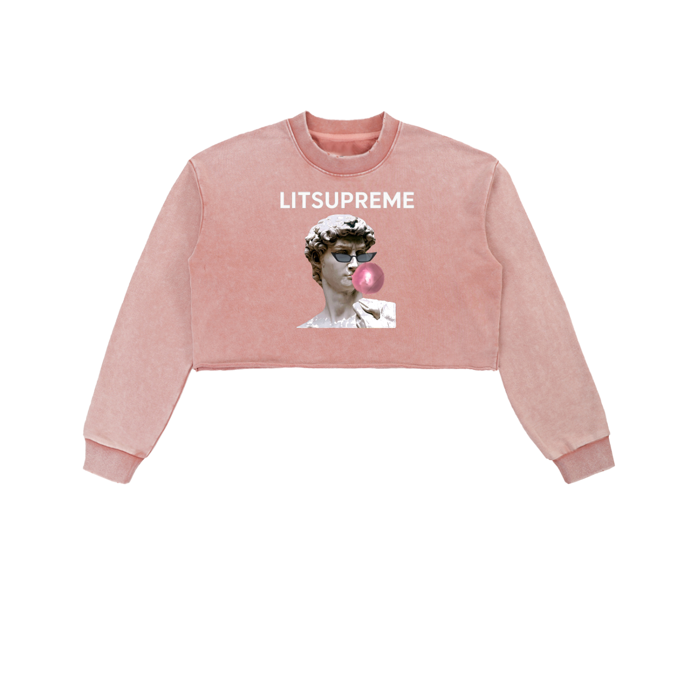 Snow Washed Raw Edge Cropped Sweatshirt