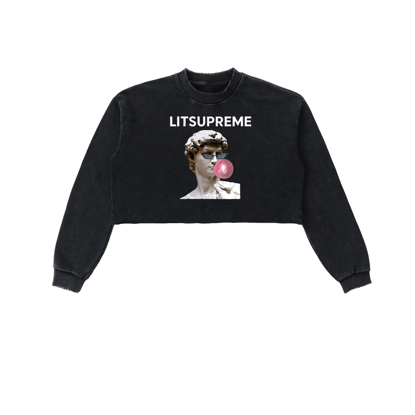 Snow Washed Raw Edge Cropped Sweatshirt