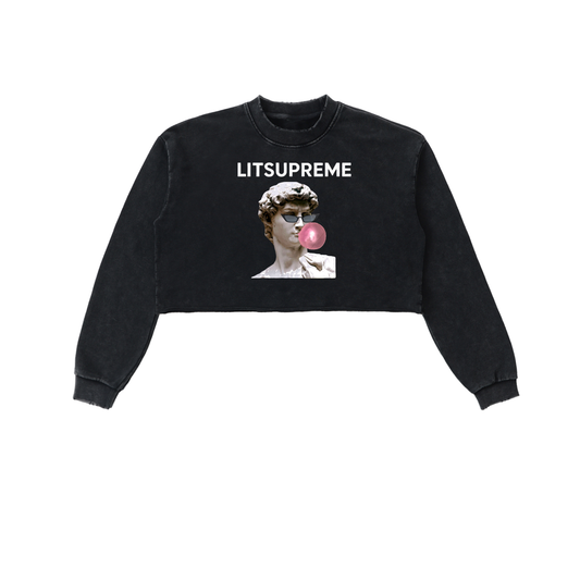 Snow Washed Raw Edge Cropped Sweatshirt