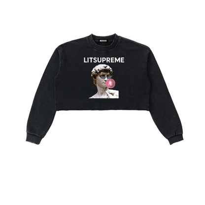 Snow Washed Raw Edge Cropped Sweatshirt